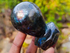 Polished Labradorite Door Handles x 6 From Madagascar