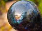 Polished Labradorite Door Handles x 6 From Madagascar