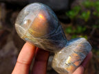 Polished Labradorite Door Handles x 6 From Madagascar