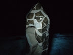 Polished XL Septerye Sauvage "Display Tower" x 1 From Mahajanga, Madagascar - Toprock Gemstones and Minerals 