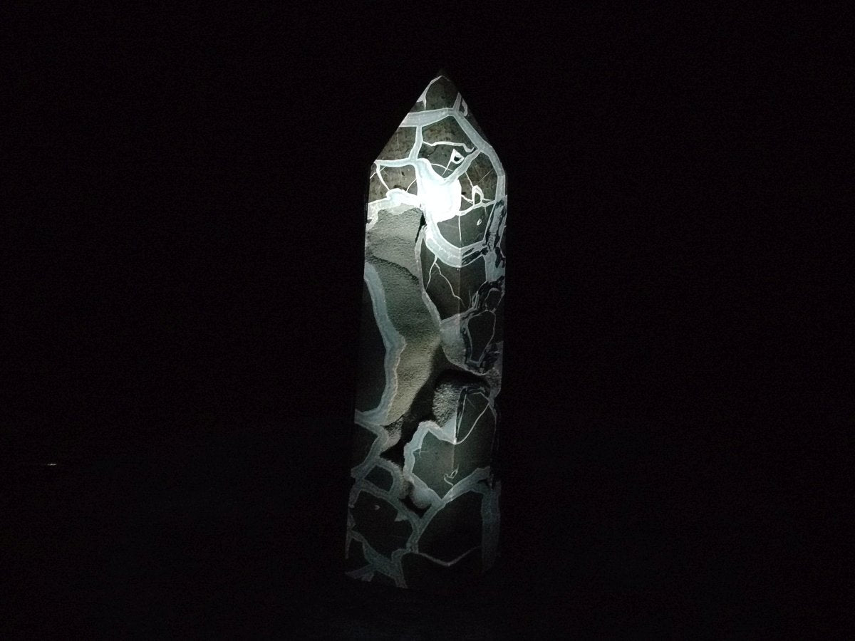 Polished XL Septerye Sauvage "Display Tower" x 1 From Mahajanga, Madagascar - Toprock Gemstones and Minerals 