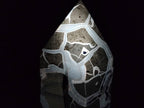 Polished XL Septerye Sauvage "Display Tower" x 1 From Mahajanga, Madagascar - Toprock Gemstones and Minerals 