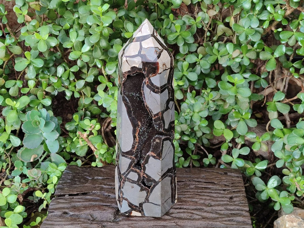 Polished XL Septerye Sauvage "Display Tower" x 1 From Mahajanga, Madagascar - Toprock Gemstones and Minerals 