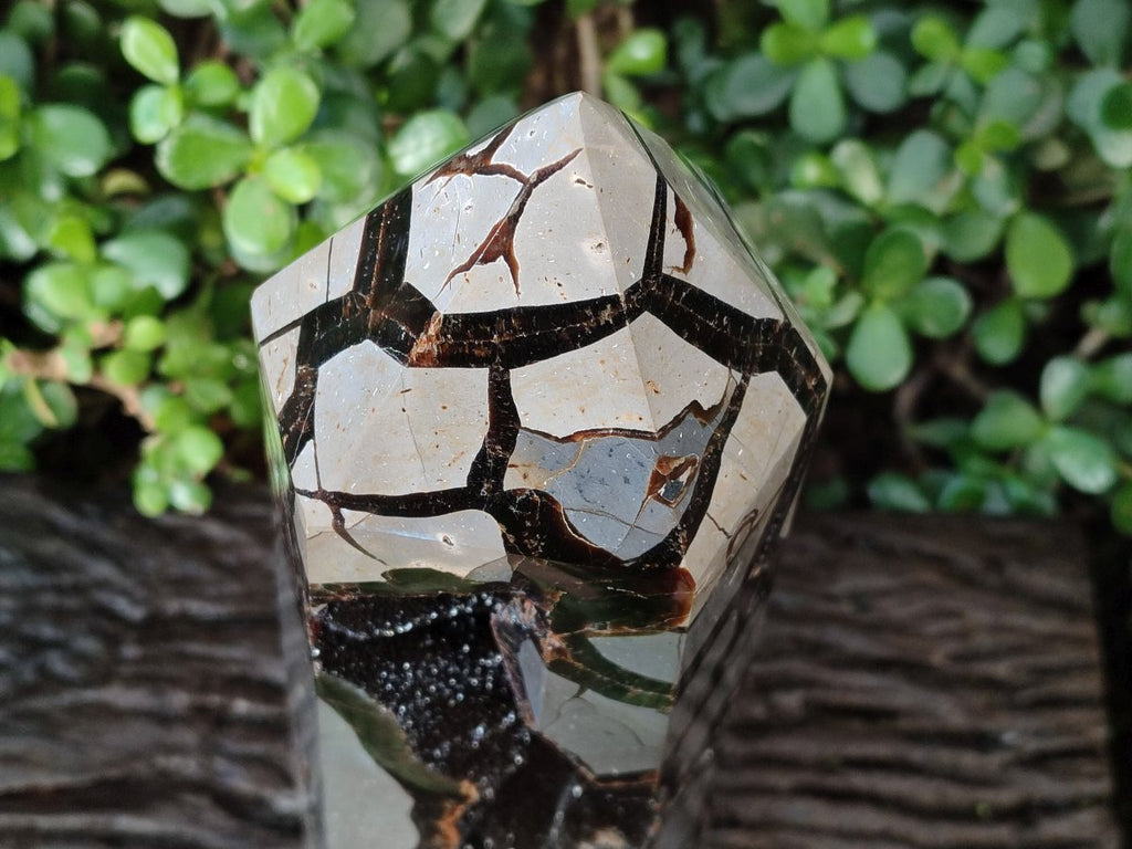 Polished XL Septerye Sauvage "Display Tower" x 1 From Mahajanga, Madagascar - Toprock Gemstones and Minerals 