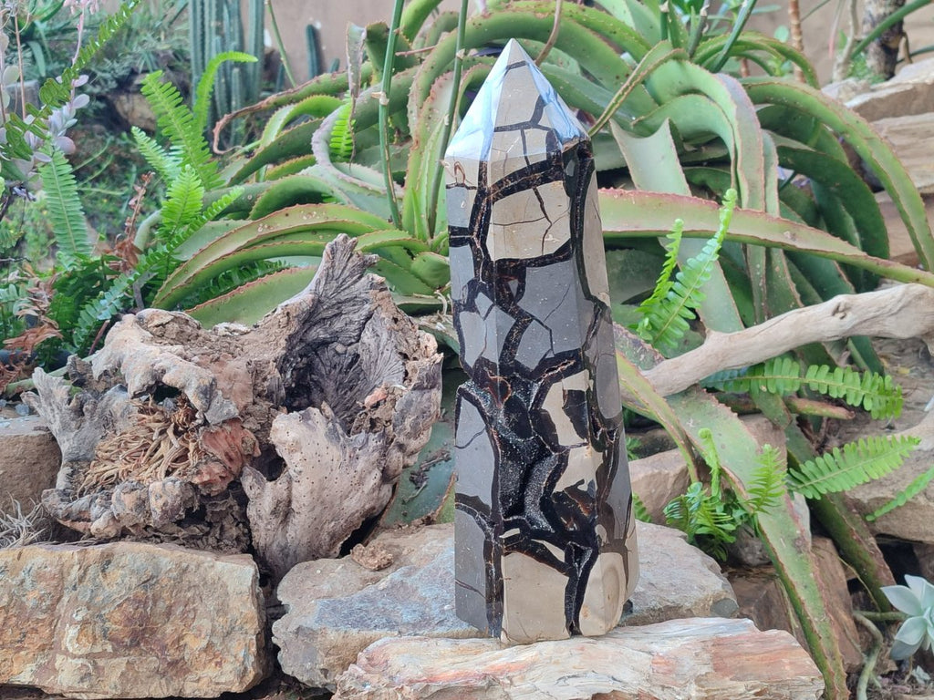 Polished XL Septerye Sauvage "Display Tower" x 1 From Mahajanga, Madagascar - Toprock Gemstones and Minerals 