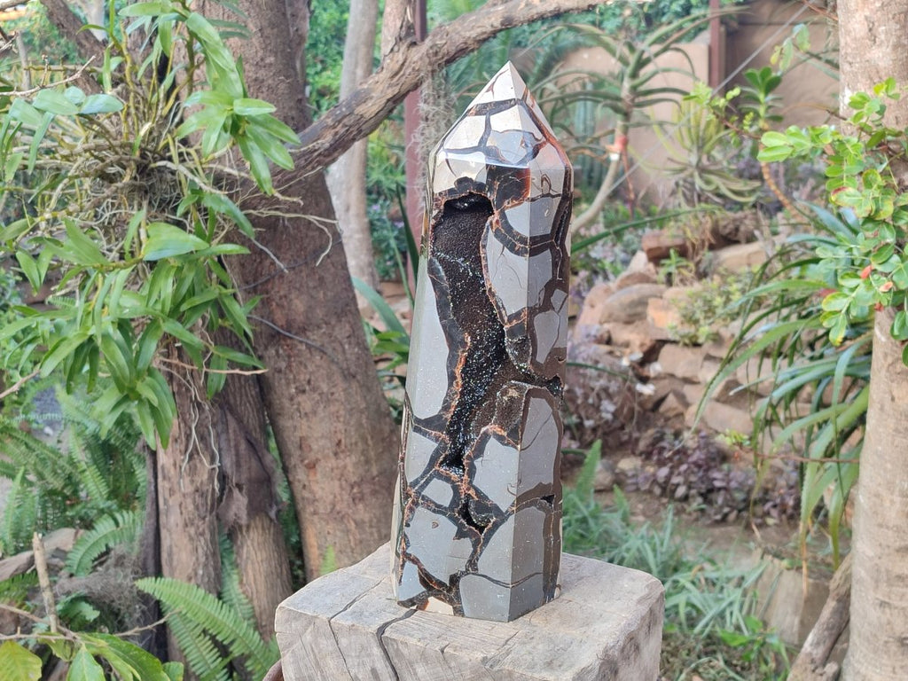 Polished XL Septerye Sauvage "Display Tower" x 1 From Mahajanga, Madagascar - Toprock Gemstones and Minerals 
