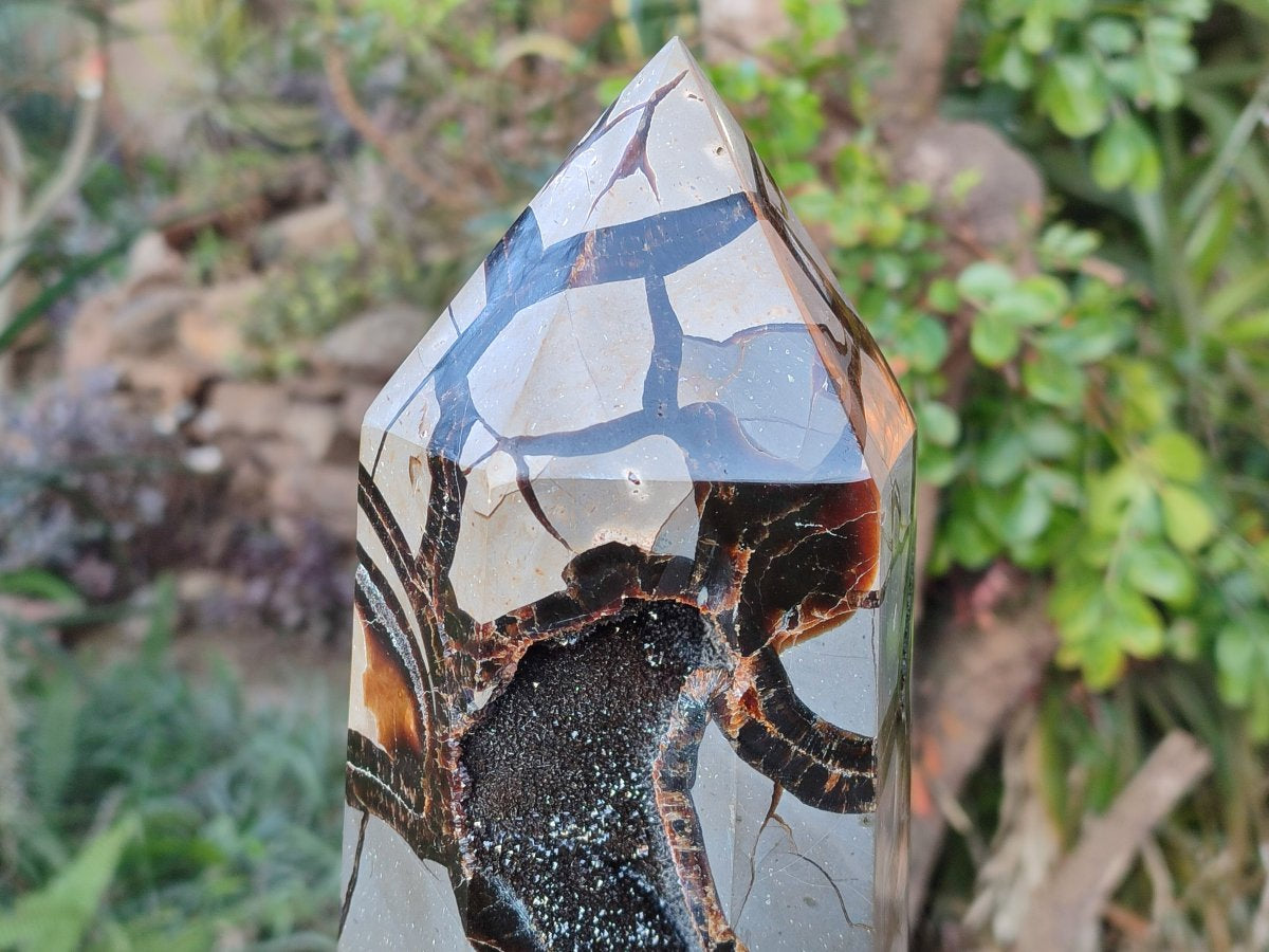Polished XL Septerye Sauvage "Display Tower" x 1 From Mahajanga, Madagascar - Toprock Gemstones and Minerals 