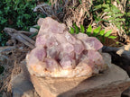 Natural Large Jacaranda Amethyst Crystal Cluster x 1 From Mumbwa, Zambia - Toprock Gemstones and Minerals 