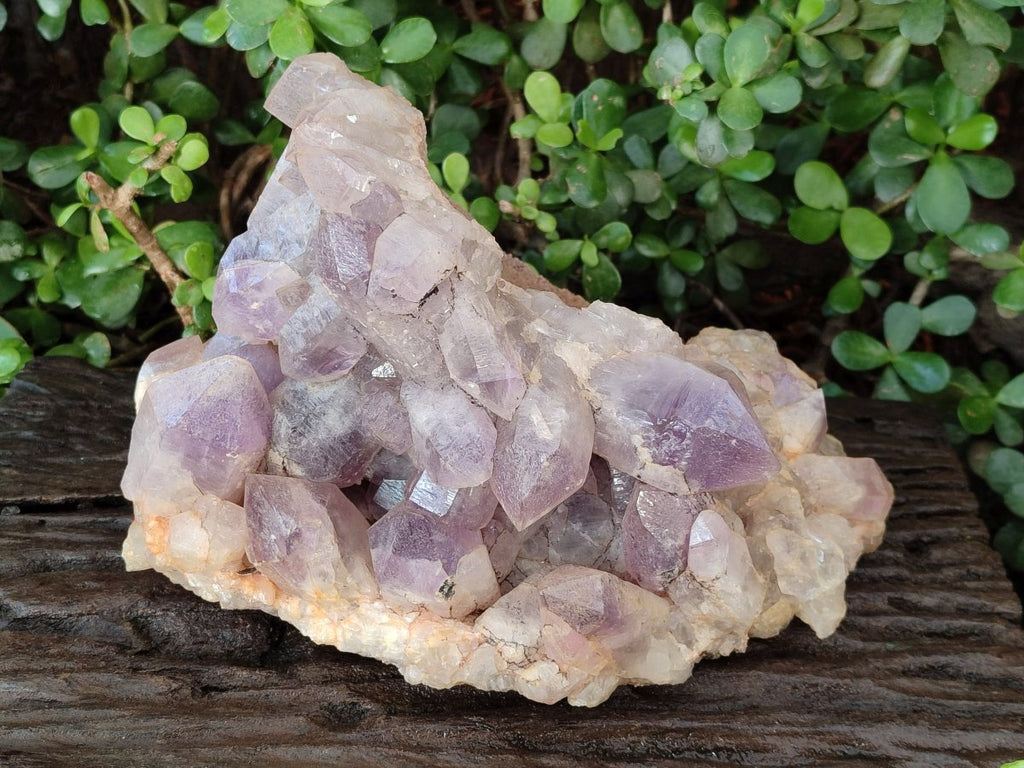 Natural Large Jacaranda Amethyst Crystal Cluster x 1 From Mumbwa, Zambia - Toprock Gemstones and Minerals 