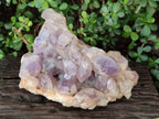 Natural Large Jacaranda Amethyst Crystal Cluster x 1 From Mumbwa, Zambia - Toprock Gemstones and Minerals 