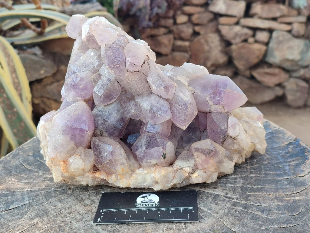 Natural Large Jacaranda Amethyst Crystal Cluster x 1 From Mumbwa, Zambia - Toprock Gemstones and Minerals 