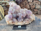 Natural Large Jacaranda Amethyst Crystal Cluster x 1 From Mumbwa, Zambia - Toprock Gemstones and Minerals 