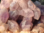 Natural Large Jacaranda Amethyst Crystal Cluster x 1 From Mumbwa, Zambia - Toprock Gemstones and Minerals 