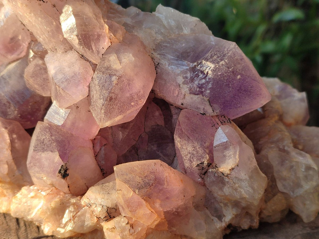Natural Large Jacaranda Amethyst Crystal Cluster x 1 From Mumbwa, Zambia - Toprock Gemstones and Minerals 