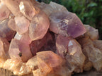 Natural Large Jacaranda Amethyst Crystal Cluster x 1 From Mumbwa, Zambia - Toprock Gemstones and Minerals 