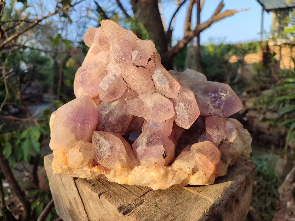 Natural Large Jacaranda Amethyst Crystal Cluster x 1 From Mumbwa, Zambia - Toprock Gemstones and Minerals 