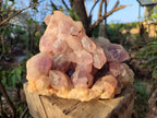 Natural Large Jacaranda Amethyst Crystal Cluster x 1 From Mumbwa, Zambia - Toprock Gemstones and Minerals 