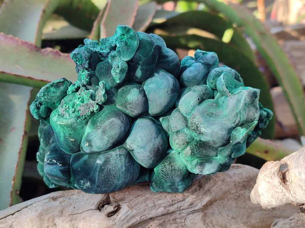 Natural Silky Malachite Specimens x 4 From Kasompe, Congo - Toprock Gemstones and Minerals 