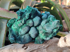Natural Silky Malachite Specimens x 4 From Kasompe, Congo - Toprock Gemstones and Minerals 