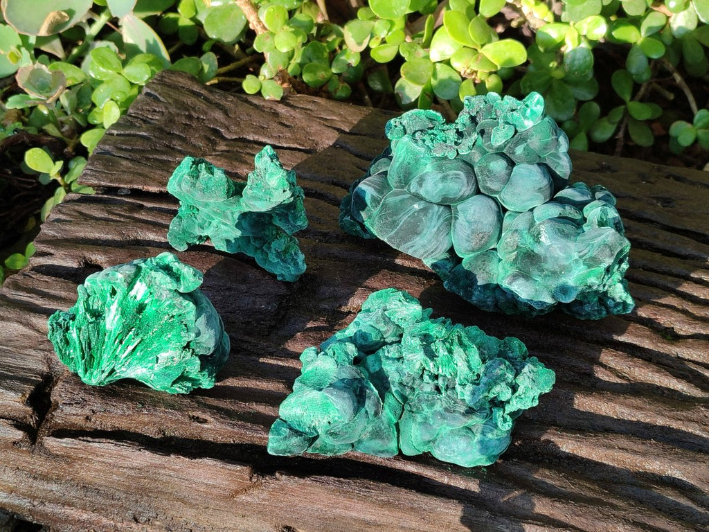 Natural Silky Malachite Specimens x 4 From Kasompe, Congo - Toprock Gemstones and Minerals 