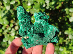 Natural Silky Malachite Specimens x 4 From Kasompe, Congo - Toprock Gemstones and Minerals 