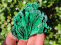 Natural Silky Malachite Specimens x 4 From Kasompe, Congo - Toprock Gemstones and Minerals 