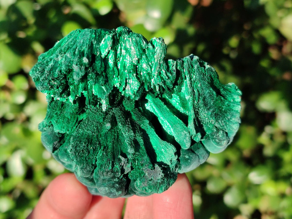 Natural Silky Malachite Specimens x 4 From Kasompe, Congo - Toprock Gemstones and Minerals 