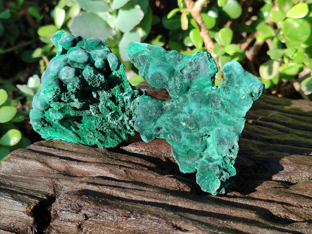 Natural Silky Malachite Specimens x 4 From Kasompe, Congo - Toprock Gemstones and Minerals 