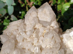Natural Large Cascading "Anananas" Candle Quartz Cluster x 1 From Antsirabe, Madagascar - Toprock Gemstones and Minerals 