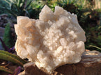 Natural Large Cascading "Anananas" Candle Quartz Cluster x 1 From Antsirabe, Madagascar - Toprock Gemstones and Minerals 