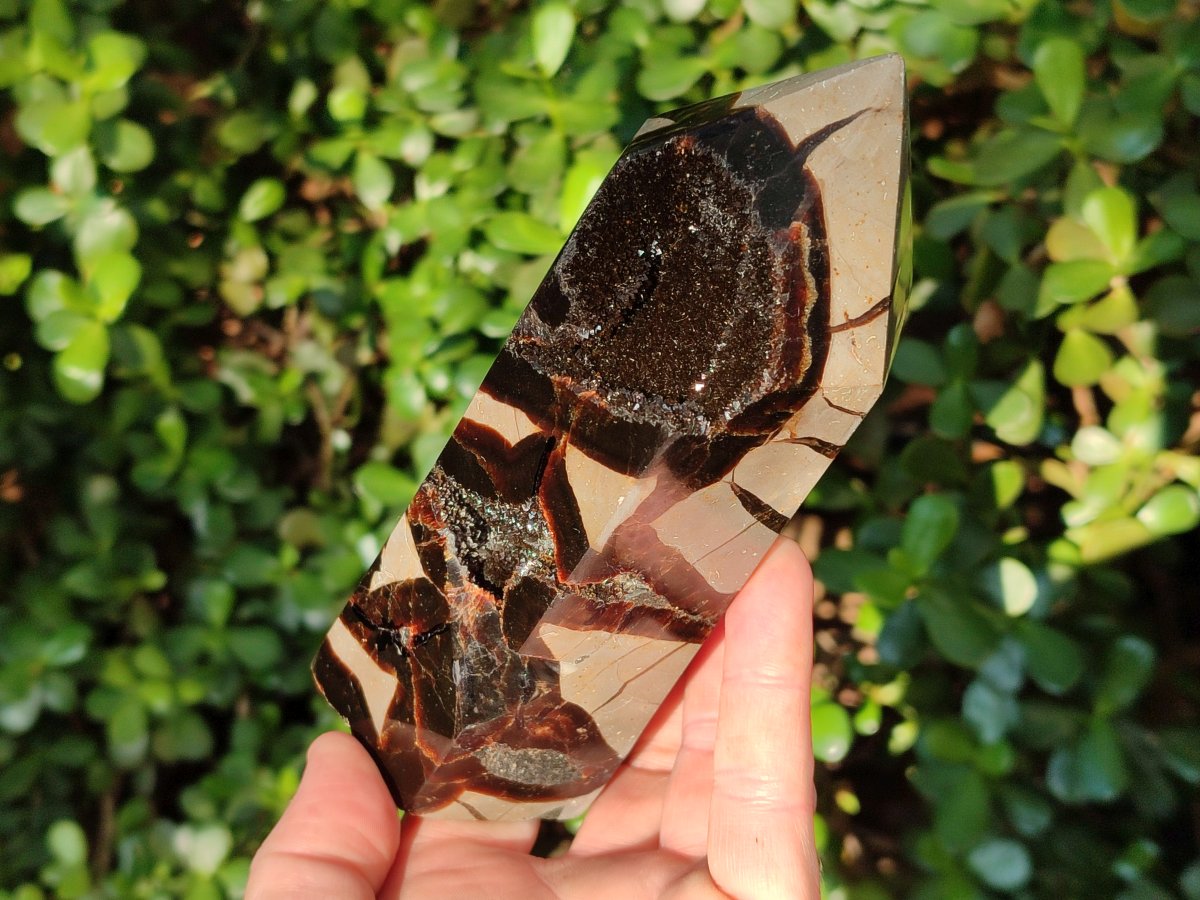 Polished Septerye Sauvage Display Crystals x 3 From Mahajanga, Madagascar - Toprock Gemstones and Minerals 