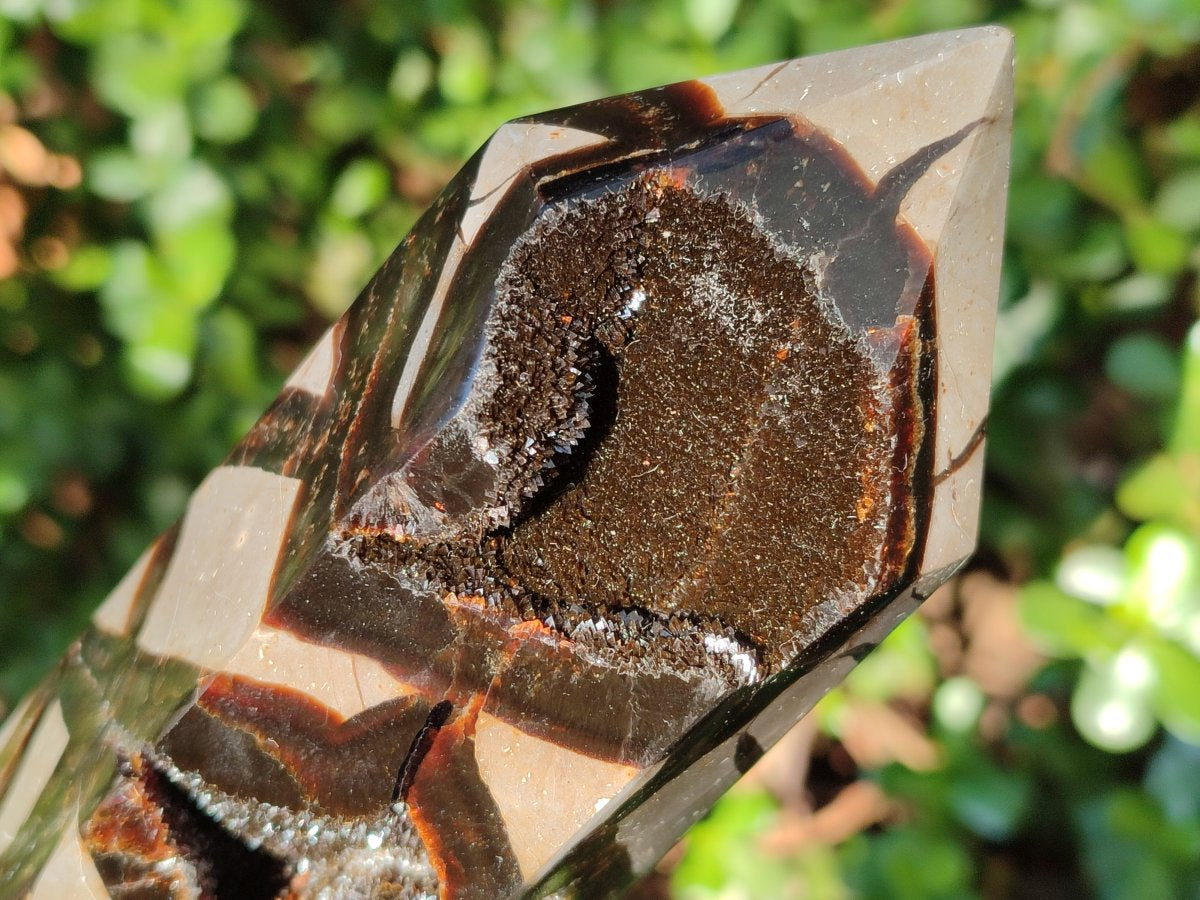 Polished Septerye Sauvage Display Crystals x 3 From Mahajanga, Madagascar - Toprock Gemstones and Minerals 