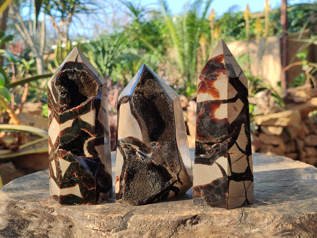 Polished Septerye Sauvage Display Crystals x 3 From Mahajanga, Madagascar - Toprock Gemstones and Minerals 