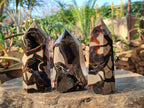 Polished Septerye Sauvage Display Crystals x 3 From Mahajanga, Madagascar - Toprock Gemstones and Minerals 