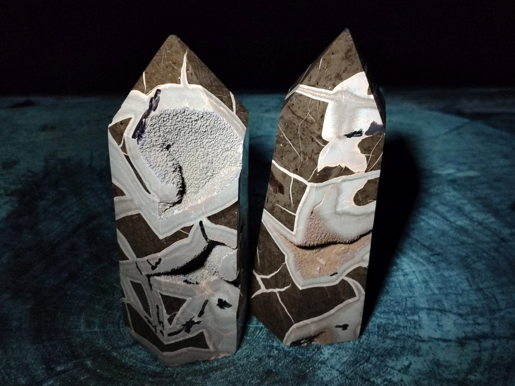 Polished Septerye Sauvage Display Crystals x 3 From Mahajanga, Madagascar - Toprock Gemstones and Minerals 
