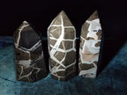 Polished Septerye Sauvage Display Crystals x 3 From Mahajanga, Madagascar - Toprock Gemstones and Minerals 
