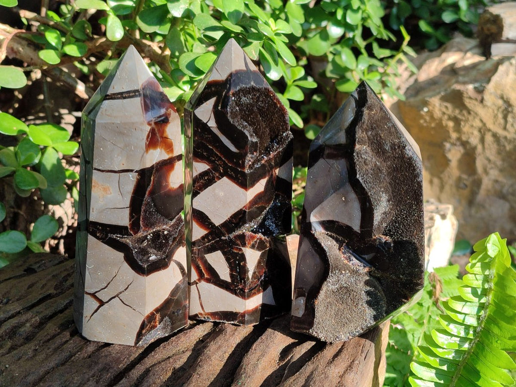Polished Septerye Sauvage Display Crystals x 3 From Mahajanga, Madagascar - Toprock Gemstones and Minerals 
