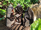 Polished Septerye Sauvage Display Crystals x 3 From Mahajanga, Madagascar - Toprock Gemstones and Minerals 