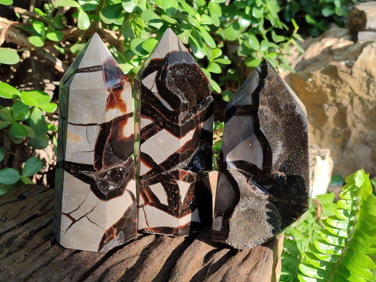 Polished Septerye Sauvage Display Crystals x 3 From Mahajanga, Madagascar - Toprock Gemstones and Minerals 