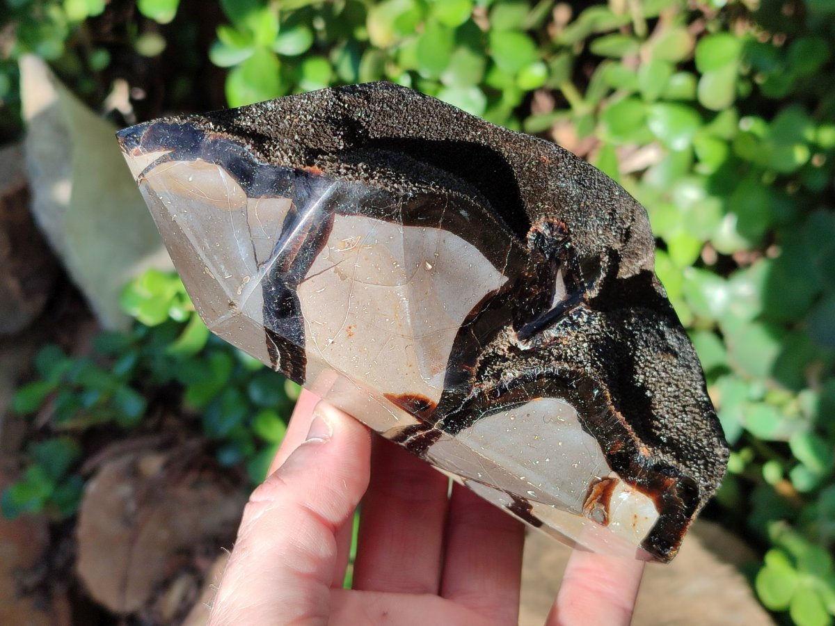 Polished Septerye Sauvage Display Crystals x 3 From Mahajanga, Madagascar - Toprock Gemstones and Minerals 