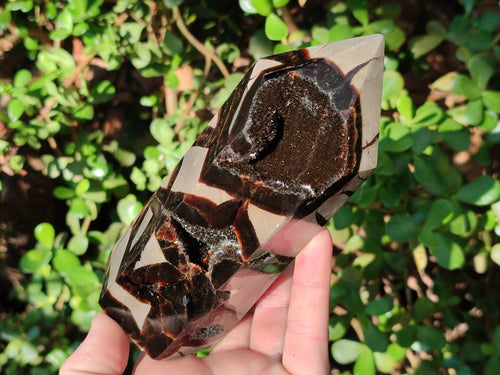 Polished Septerye Sauvage Display Crystals x 3 From Mahajanga, Madagascar - Toprock Gemstones and Minerals 