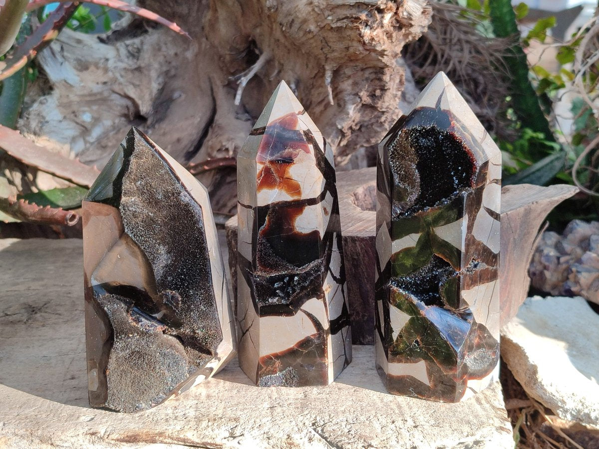 Polished Septerye Sauvage Display Crystals x 3 From Mahajanga, Madagascar - Toprock Gemstones and Minerals 