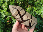 Polished Septerye Sauvage Display Crystals x 3 From Mahajanga, Madagascar - Toprock Gemstones and Minerals 