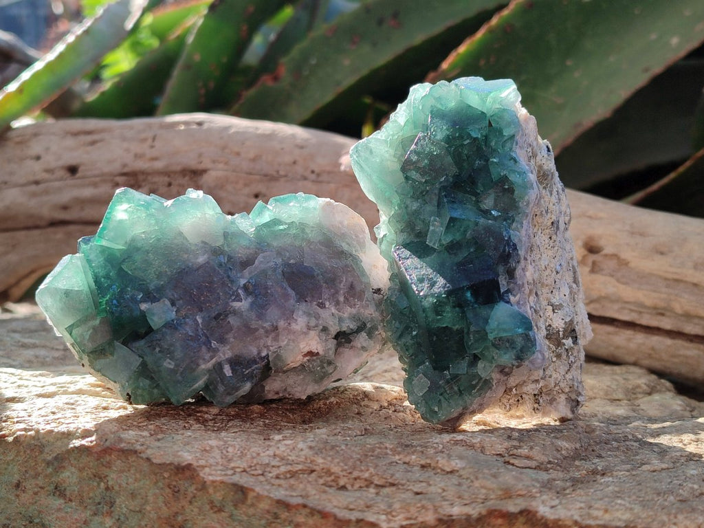 Natural Green Cubic Fluorite Specimens x 6 From Mandrosonoro, Madagascar - Toprock Gemstones and Minerals 