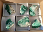 Natural Green Cubic Fluorite Specimens x 6 From Mandrosonoro, Madagascar - Toprock Gemstones and Minerals 