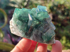 Natural Green Cubic Fluorite Specimens x 6 From Mandrosonoro, Madagascar - Toprock Gemstones and Minerals 