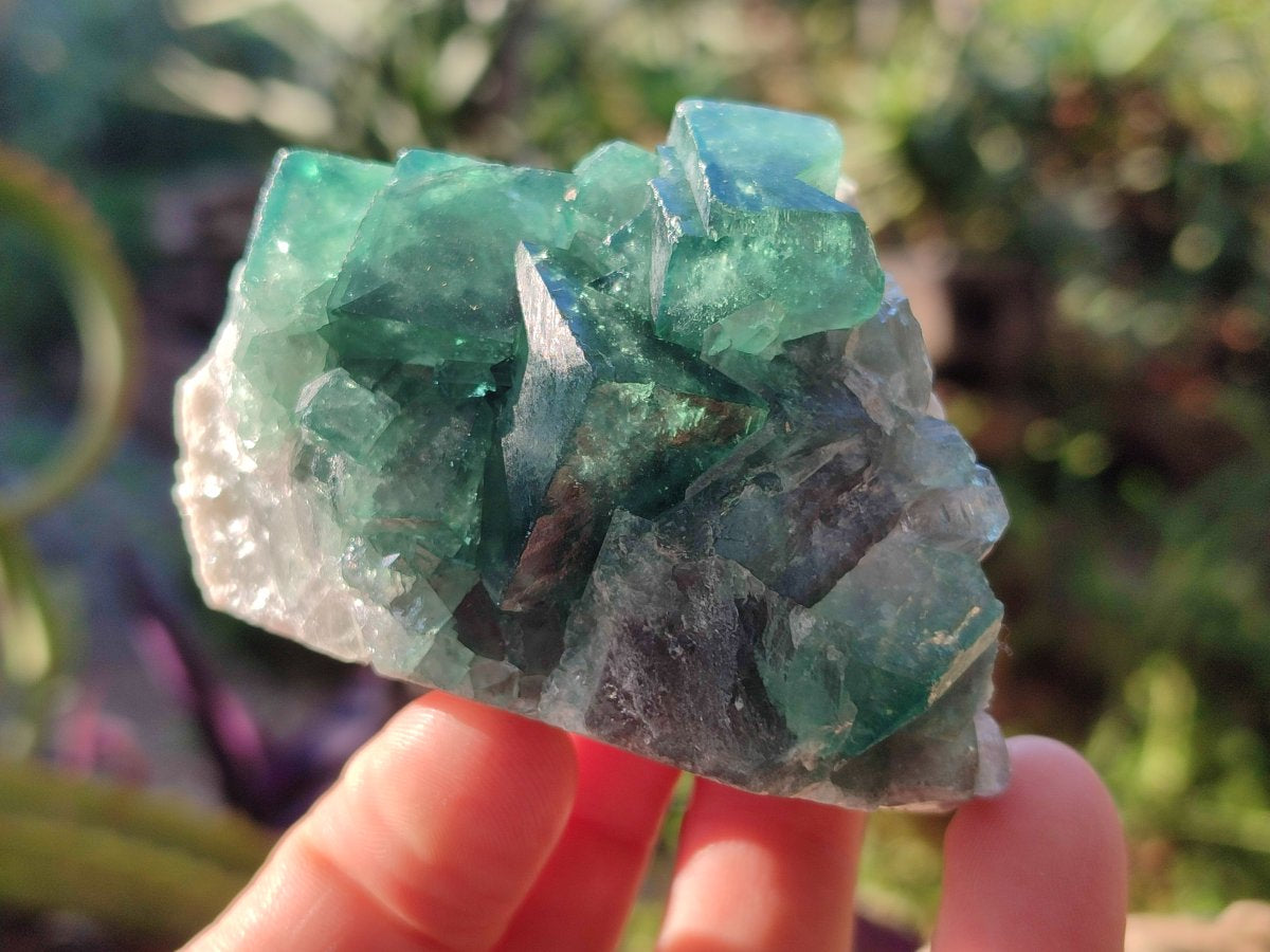 Natural Green Cubic Fluorite Specimens x 6 From Mandrosonoro, Madagascar - Toprock Gemstones and Minerals 