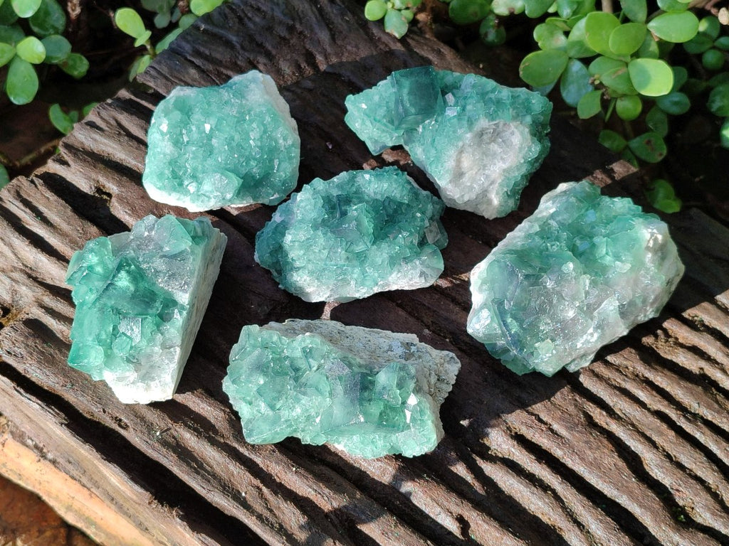 Natural Green Cubic Fluorite Specimens x 6 From Mandrosonoro, Madagascar - Toprock Gemstones and Minerals 