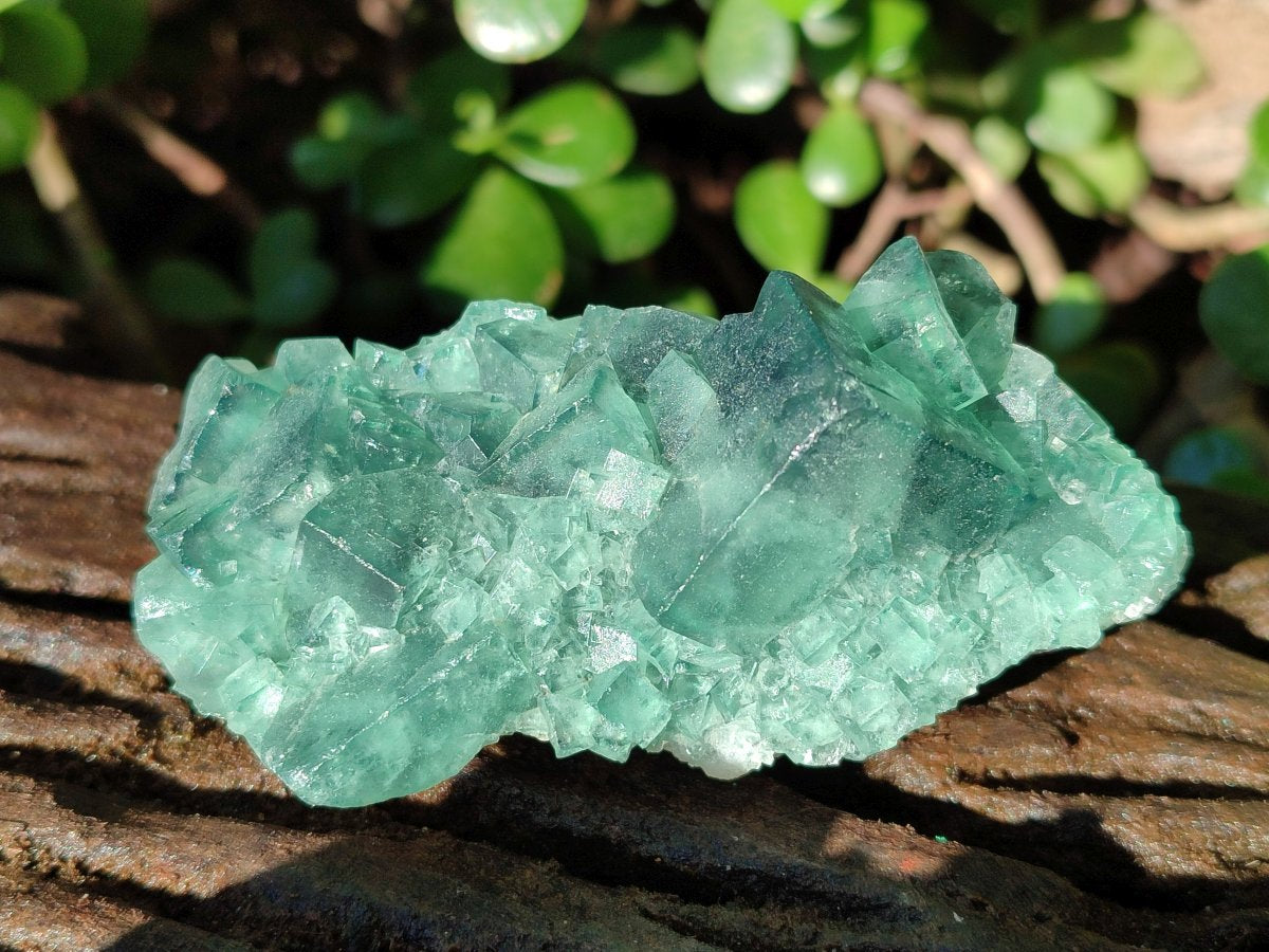 Natural Green Cubic Fluorite Specimens x 6 From Mandrosonoro, Madagascar - Toprock Gemstones and Minerals 