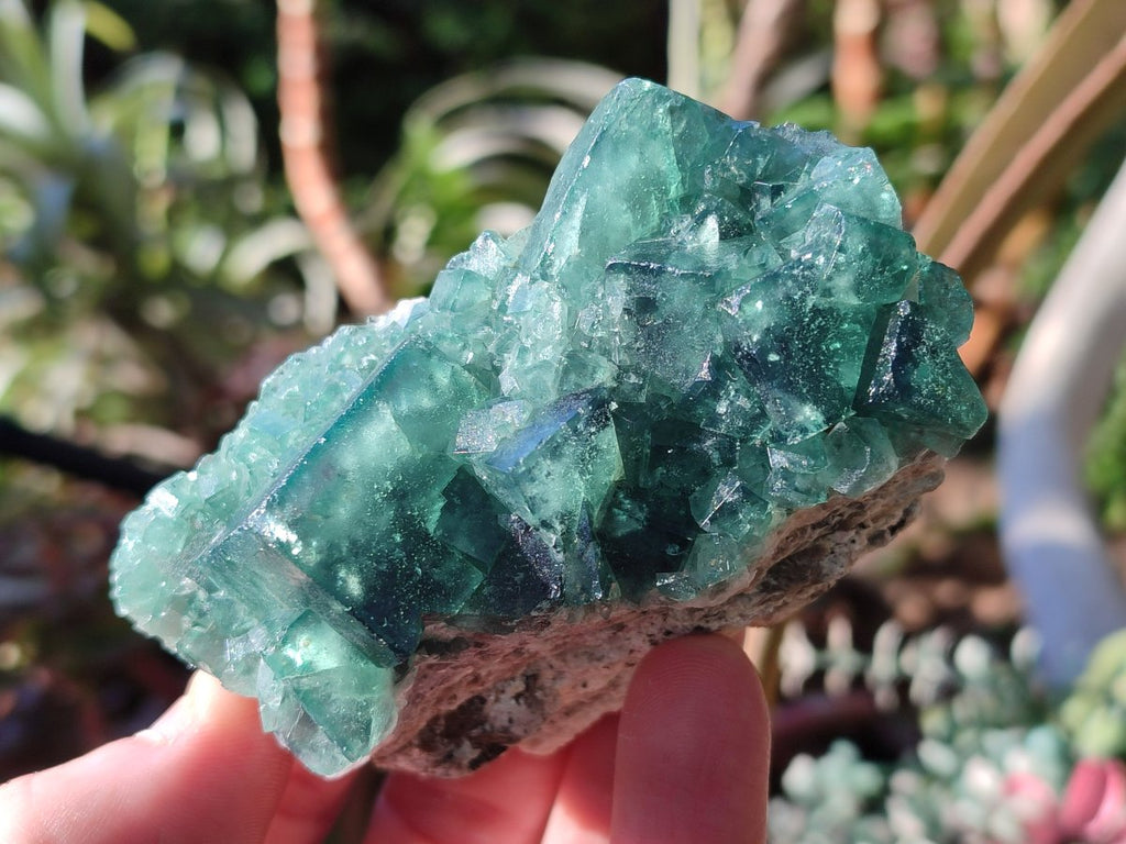 Natural Green Cubic Fluorite Specimens x 6 From Mandrosonoro, Madagascar - Toprock Gemstones and Minerals 